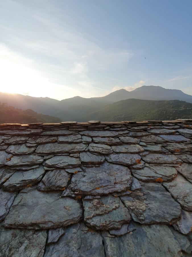A Casetta Di Santa Maria Furiani Exteriér fotografie
