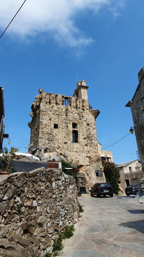 A Casetta Di Santa Maria Furiani Exteriér fotografie